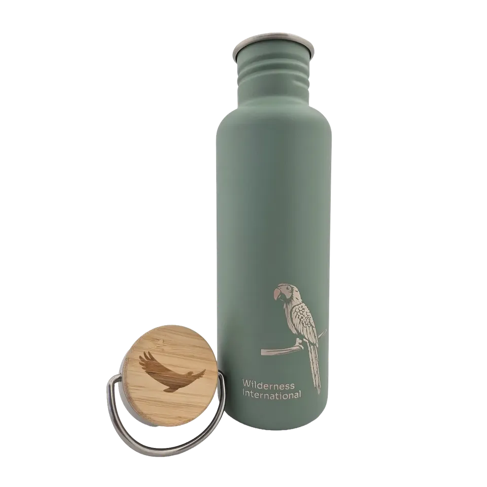 klean-kanteen-classic-trinkflasche-800ml-wilderness-sonderedition-edelstahl-flas image 1