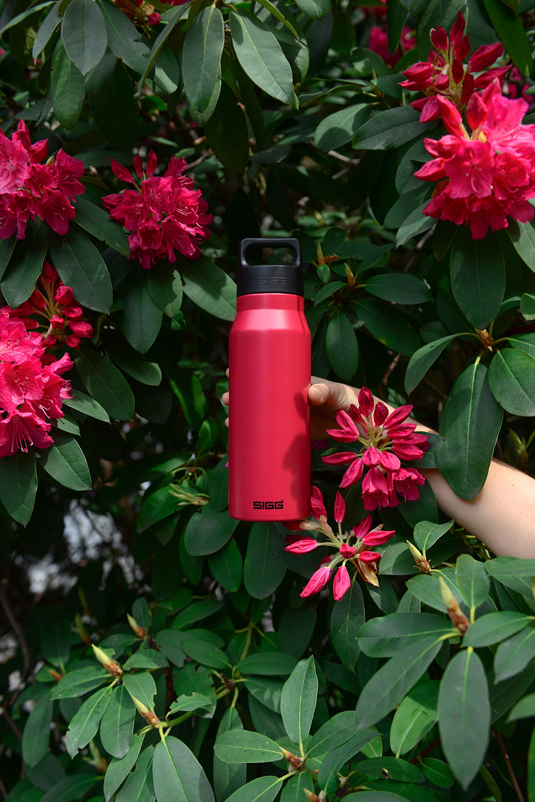 sigg-explorer-edelstahl-trinkflasche-0-75-l-magenta-auslaufsicher-f-r-kohlens-ur image 6