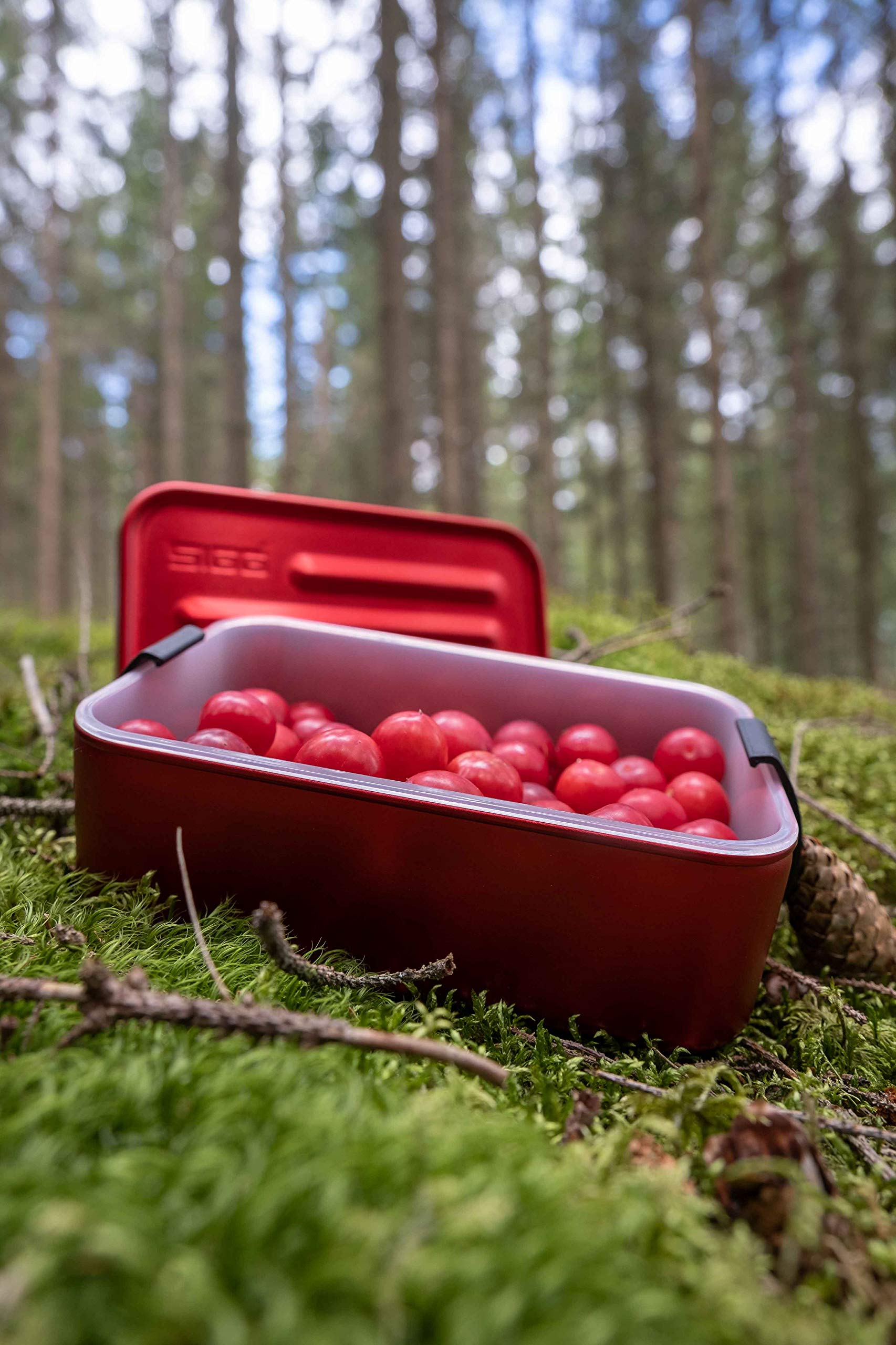 sigg-metal-box-plus-l-red-lunchbox-1-2-l-8698-10-federleichte-aluminium-brotdose image 3