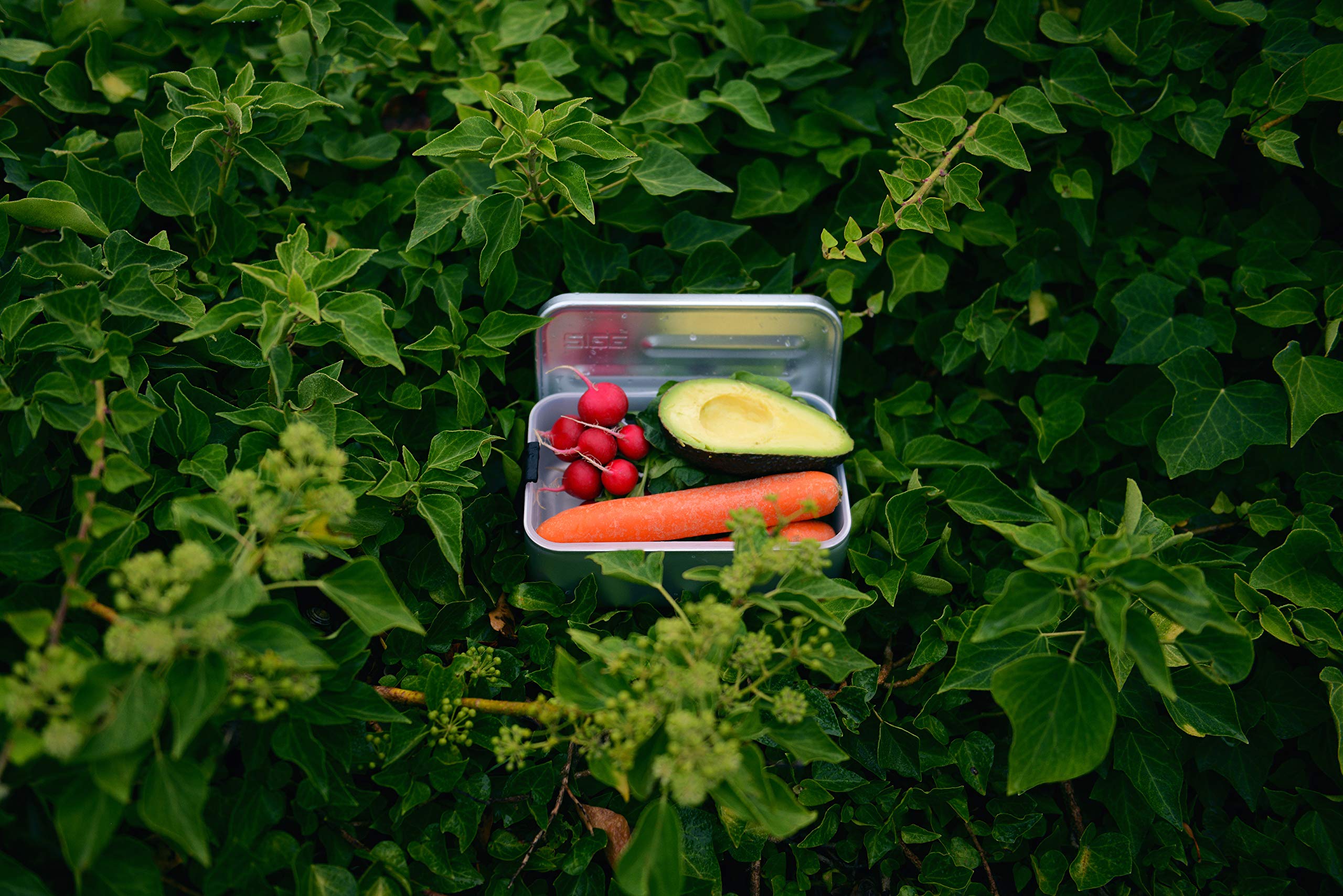 sigg-metal-box-plus-l-alu-lunchbox-1-2-l-brotdose-aus-aluminium-mit-trennwand-ei image 5