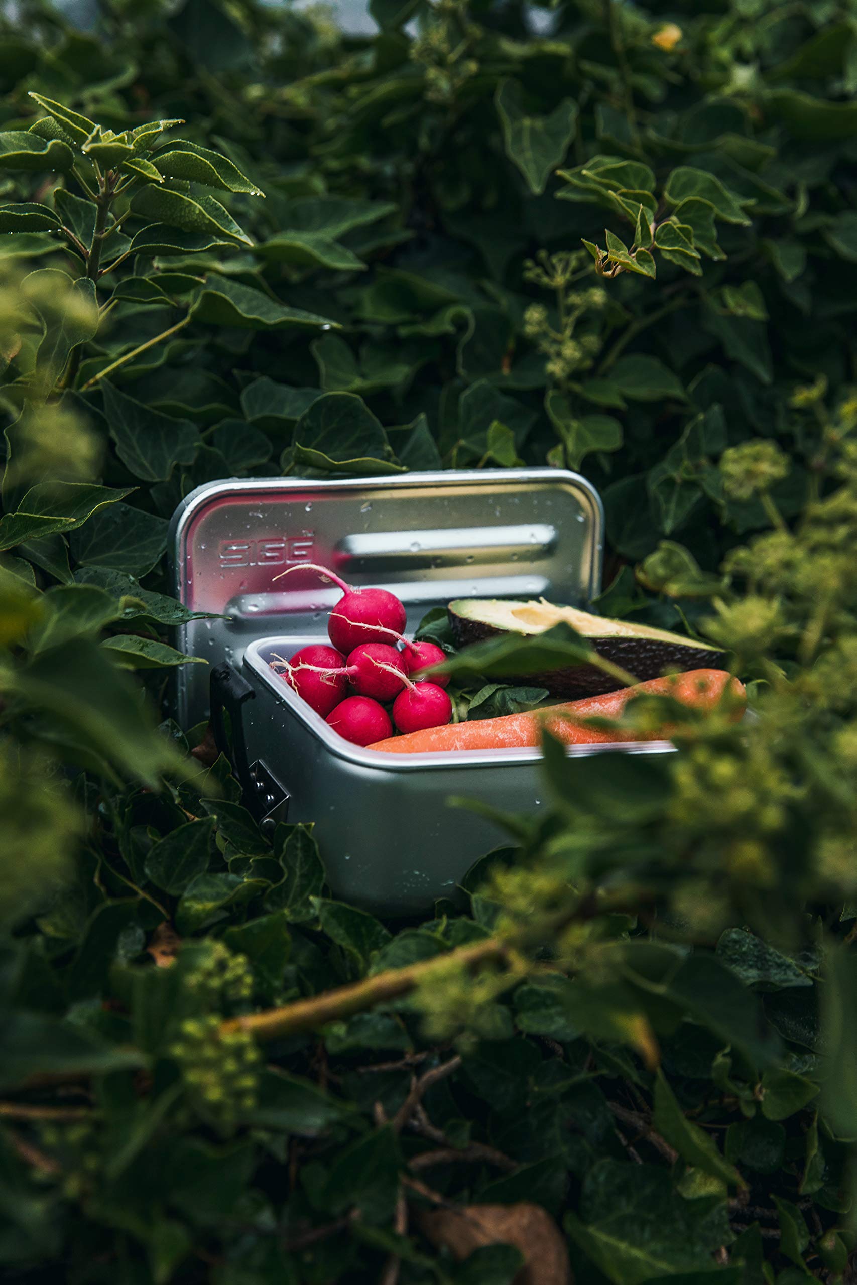sigg-metal-box-plus-l-alu-lunchbox-1-2-l-brotdose-aus-aluminium-mit-trennwand-ei image 3