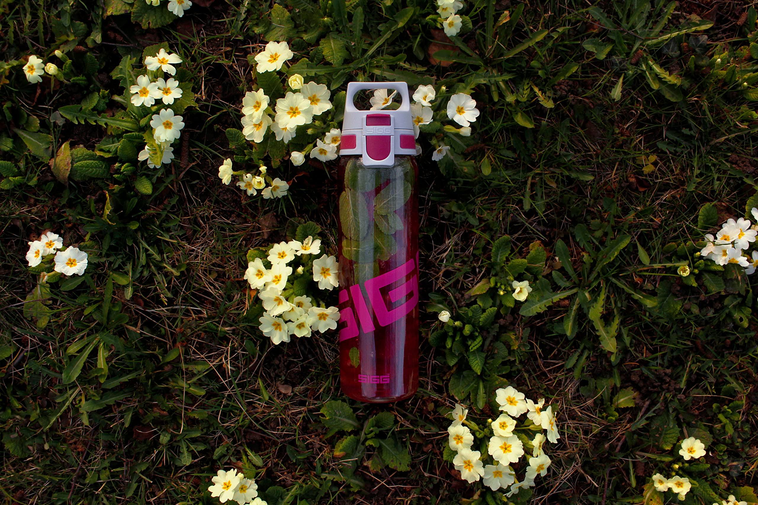 sigg-total-clear-one-trinkflasche-0-75-l-tritan-kohlens-uregeeignet-auslaufsiche image 8