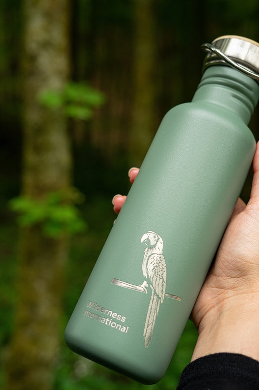 klean-kanteen-classic-trinkflasche-800ml-wilderness-sonderedition-edelstahl-flas image 6